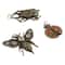 12 Packs: 3 ct. (36 total) Found Objects Bronze Oxide Bug Charms by Bead Landing™